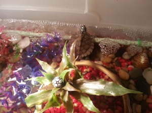 Our Mississippi Map Turtle